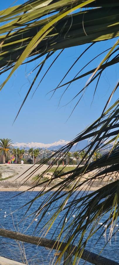 Villa Ange Azur 2 Villeneuve-Loubet Exterior foto
